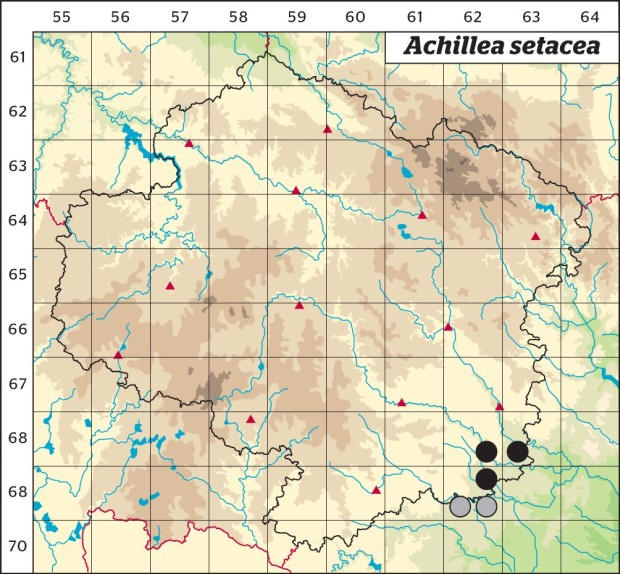 Mapa výskytu - řebříček štětinolistý - Achillea setacea