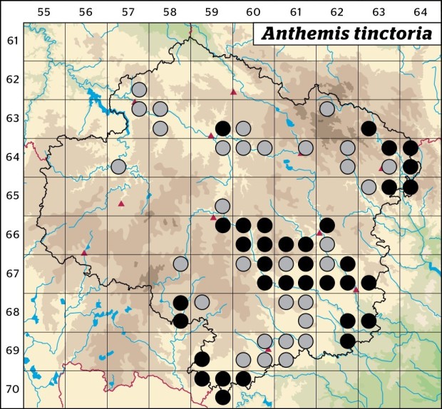 Mapa výskytu - rmen barvířský - Anthemis tinctoria