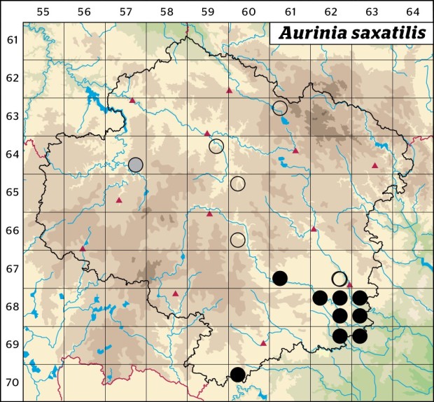 Mapa výskytu - tařice skalní - Aurinia saxatilis