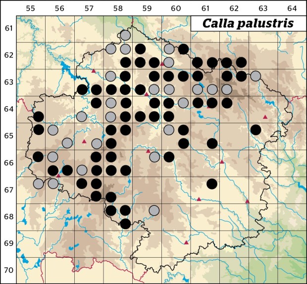 Mapa výskytu - ďáblík bahenní - Calla palustris