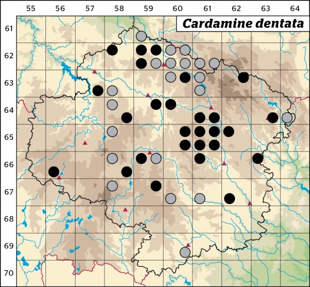 Mapa výskytu - řeřišnice bahenní - Cardamine dentata