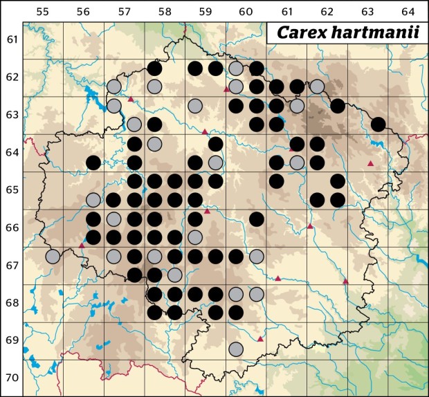 Mapa výskytu - ostřice hartmanova - Carex hartmanii