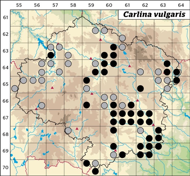Mapa výskytu - pupava obecná - Carlina vulgaris