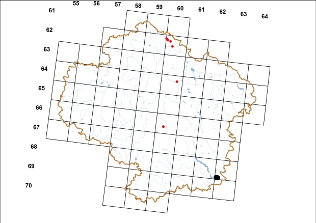 Mapa výskytu - trojzubka stepní - Chondrula tridens