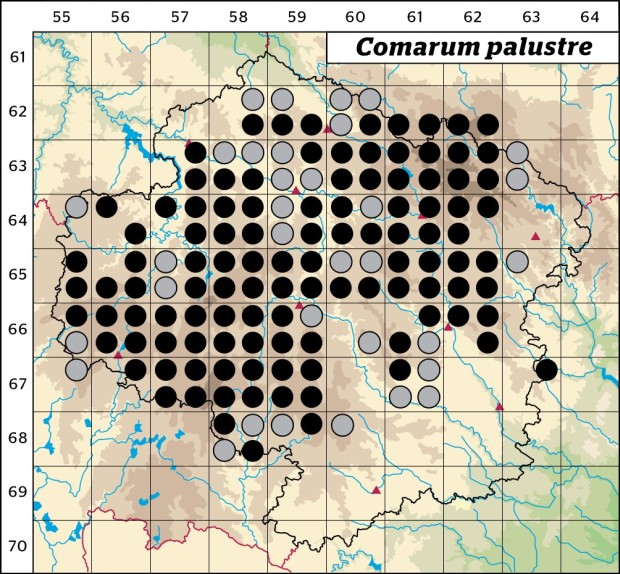 Mapa výskytu - zábělník bahenní - Comarum palustre