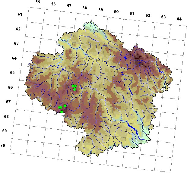 Mapa výskytu - korovitka vakovitá - Diatrype bullata