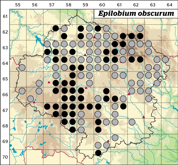 Mapa výskytu - vrbovka tmavá - Epilobium obscurum