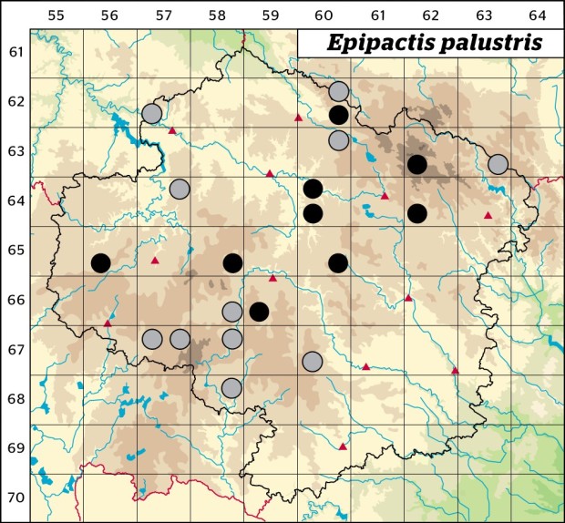 Mapa výskytu - kruštík bahenní - Epipactis palustris