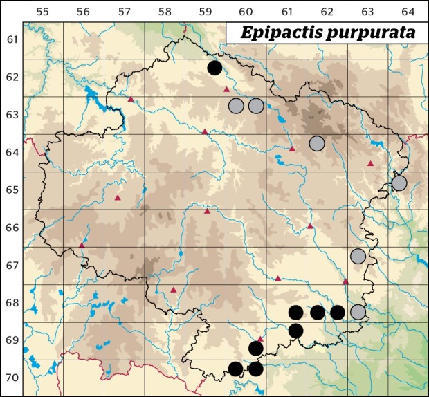 Mapa výskytu - kruštík modrofialový - Epipactis purpurata