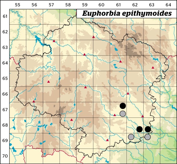 Mapa výskytu - pryšec mnohobarvý - Euphorbia epithymoides