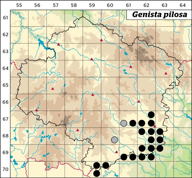 Mapa výskytu - kručinka chlupatá - Genista pilosa