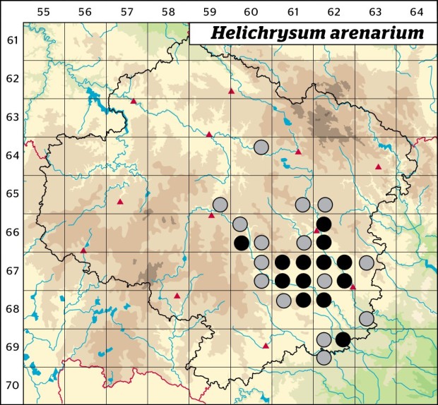Mapa výskytu - smil písečný - Helichrysum arenarium