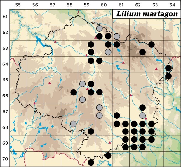 Mapa výskytu - lilie zlatohlavá - Lilium martagon