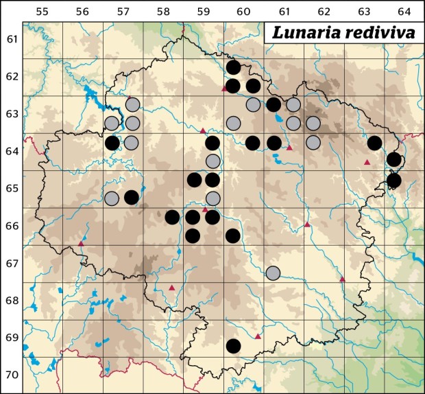 Mapa výskytu - měsíčnice vytrvalá - Lunaria rediviva