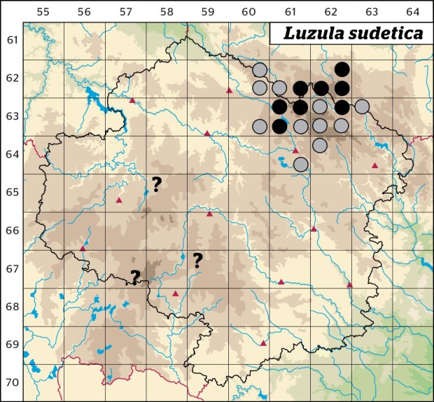 Mapa výskytu - bika sudetská - Luzula sudetica