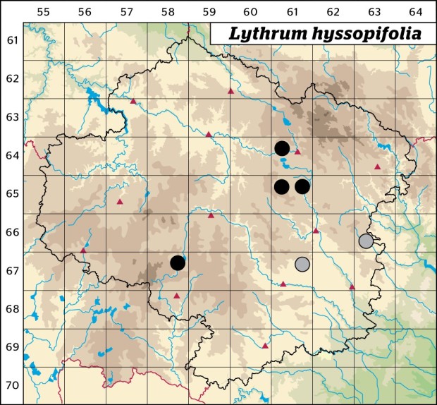 Mapa výskytu - kyprej yzopolistý - Lythrum hyssopifolia