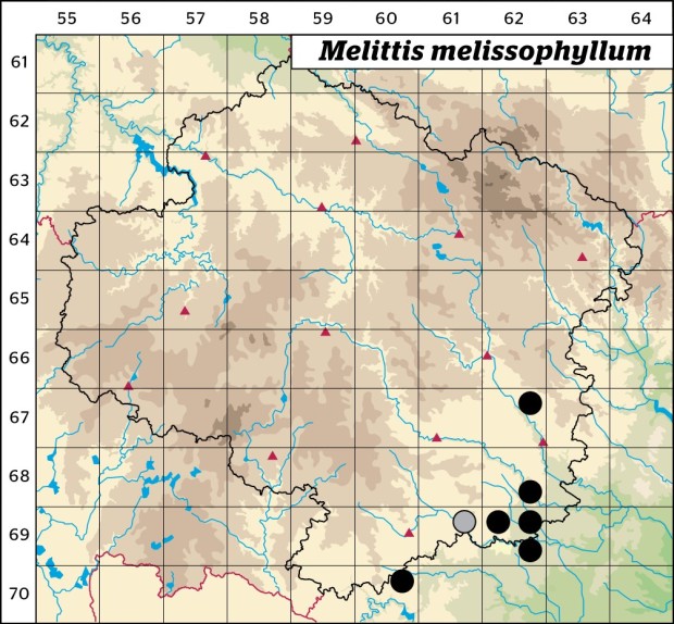 Mapa výskytu - medovník meduňkolistý - Melittis melissophyllum