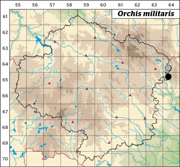 Mapa výskytu - vstavač vojenský - Orchis militaris