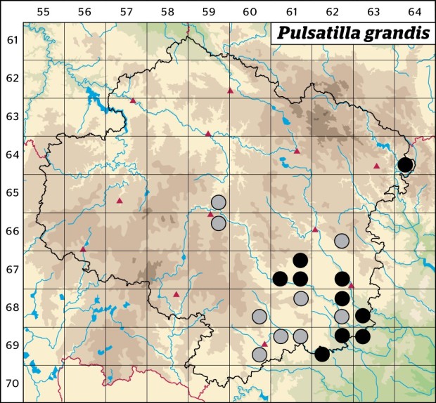Mapa výskytu - koniklec velkokvětý - Pulsatilla grandis