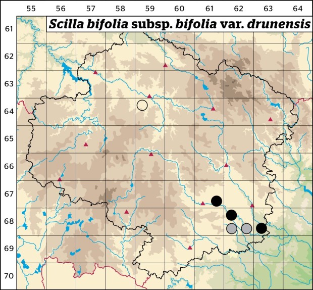 Mapa výskytu - ladoňka dvoulistá pravá rakouská - Scilla bifolia subsp. bifolia var. drunensis