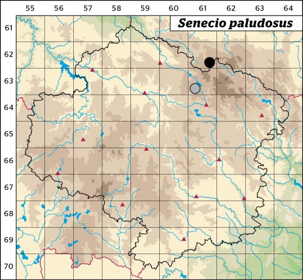 Mapa výskytu - starček bažinný pravý - Senecio paludosus subsp. paludosus