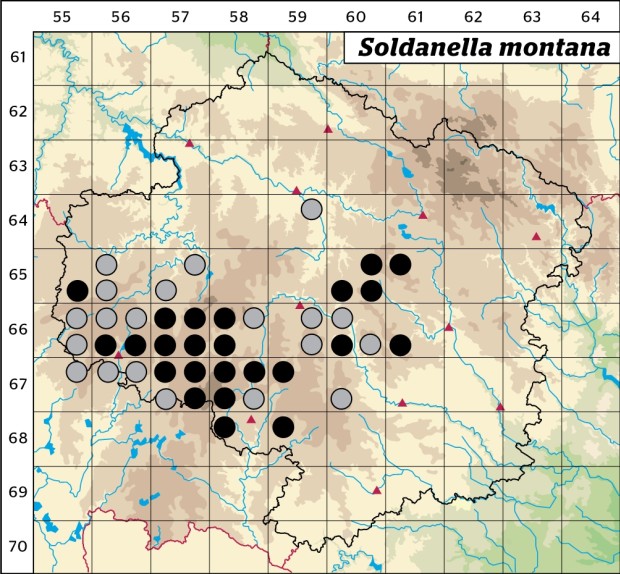 Mapa výskytu - dřípatka horská - Soldanella montana