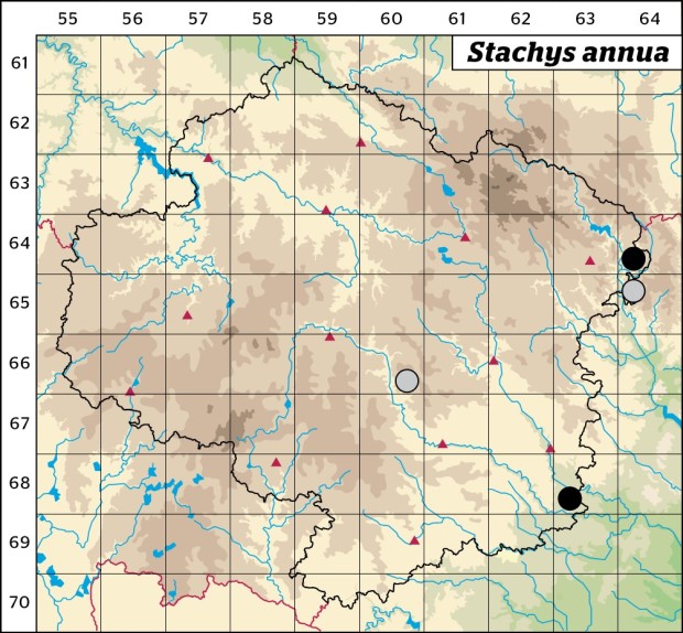 Mapa výskytu - čistec roční - Stachys annua