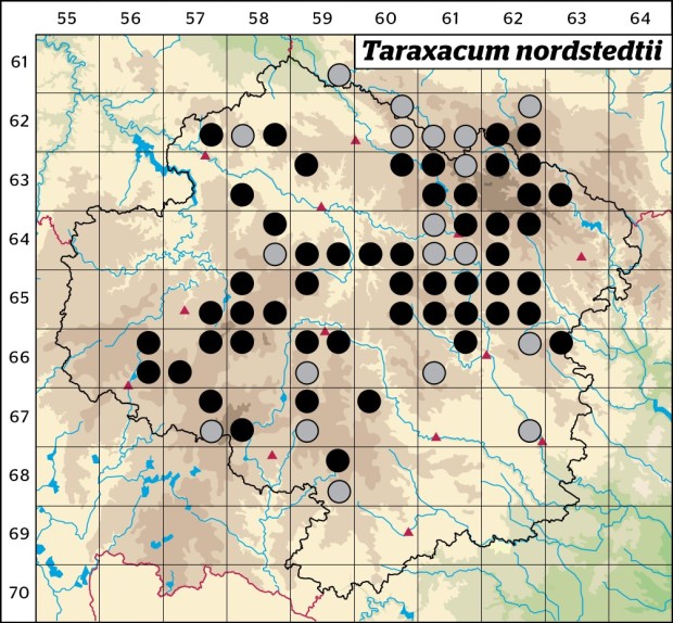 Mapa výskytu - pampeliška nordstedtova - Taraxacum nordstedtii