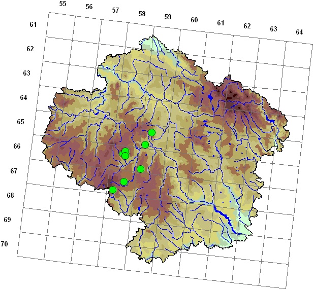 Mapa výskytu - kadeřavec - Ulota sp.
