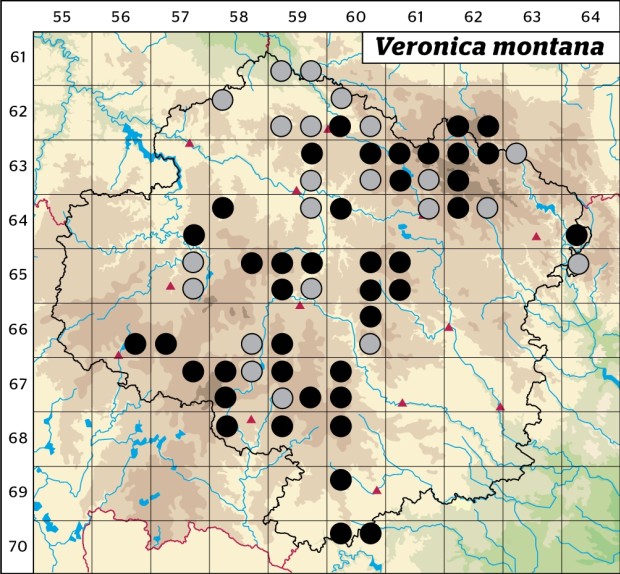 Mapa výskytu - rozrazil horský - Veronica montana