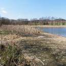 Nový rybník u Nové Vsi, 19.4.2015, foto Vojtěch Kodet