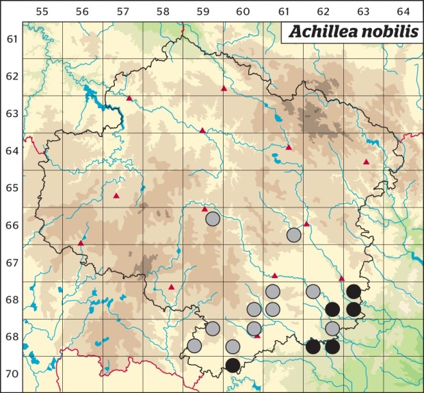 Mapa výskytu - řebříček sličný - Achillea nobilis