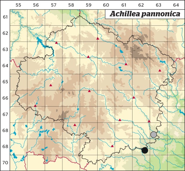 Mapa výskytu - řebříček panonský - Achillea pannonica
