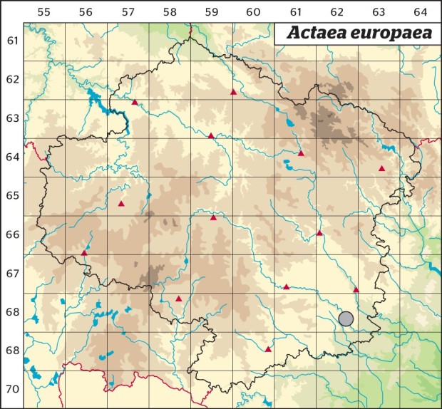 Mapa výskytu - ploštičník evropský - Actaea europaea