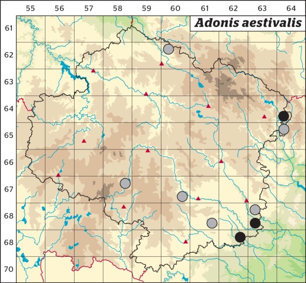 Mapa výskytu - hlaváček letní - Adonis aestivalis