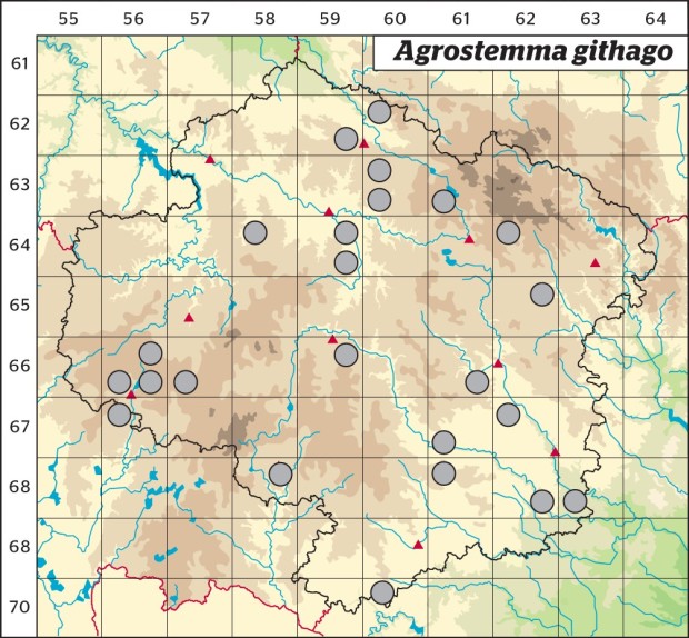 Mapa výskytu - koukol polní - Agrostemma githago