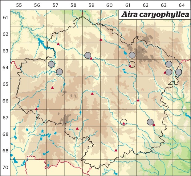 Mapa výskytu - ovsíček obecný - Aira caryophyllea