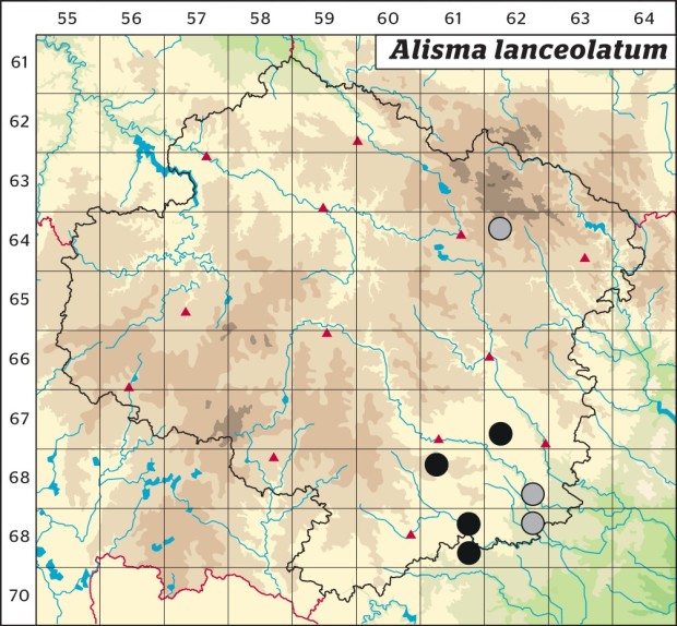 Mapa výskytu - žabník kopinatý - Alisma lanceolatum