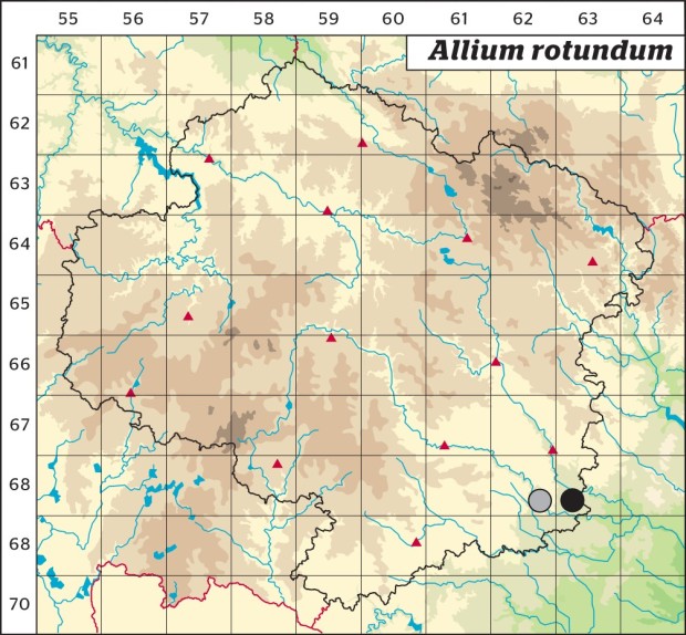 Mapa výskytu - česnek kulovitý - Allium rotundum