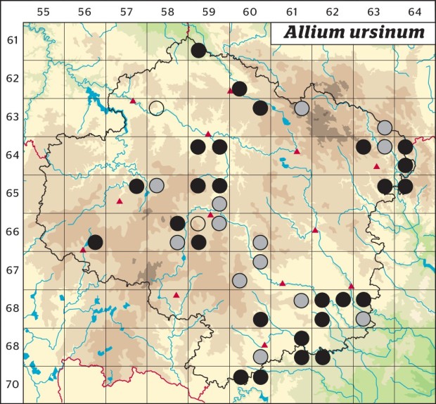 Mapa výskytu - česnek medvědí - Allium ursinum
