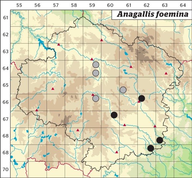 Mapa výskytu - drchnička modrá - Anagallis foemina