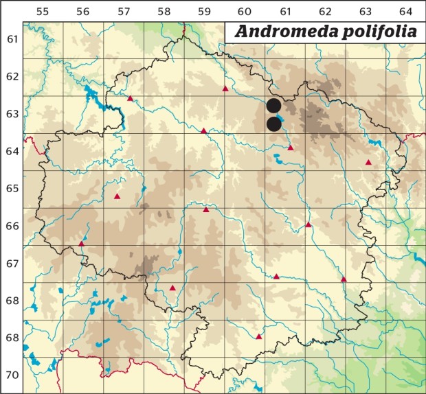 Mapa výskytu - kyhanka sivolistá - Andromeda polifolia