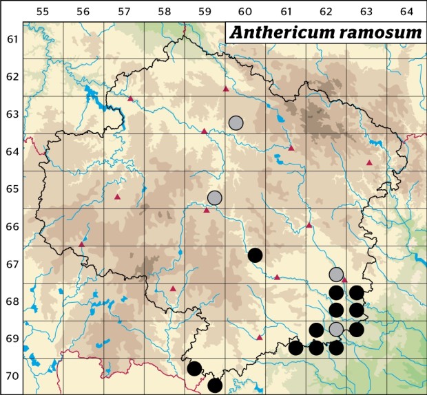 Mapa výskytu - bělozářka větevnatá - Anthericum ramosum