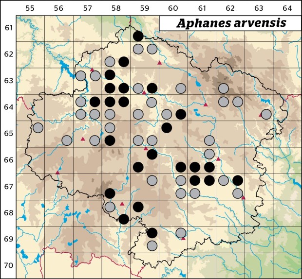 Mapa výskytu - nepatrnec rolní - Aphanes arvensis