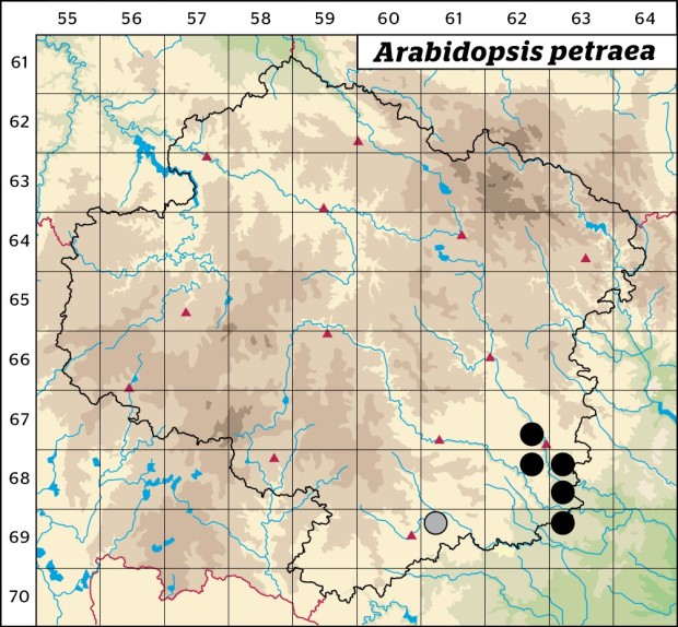 Mapa výskytu - řeřišničník skalní - Arabidopsis petraea