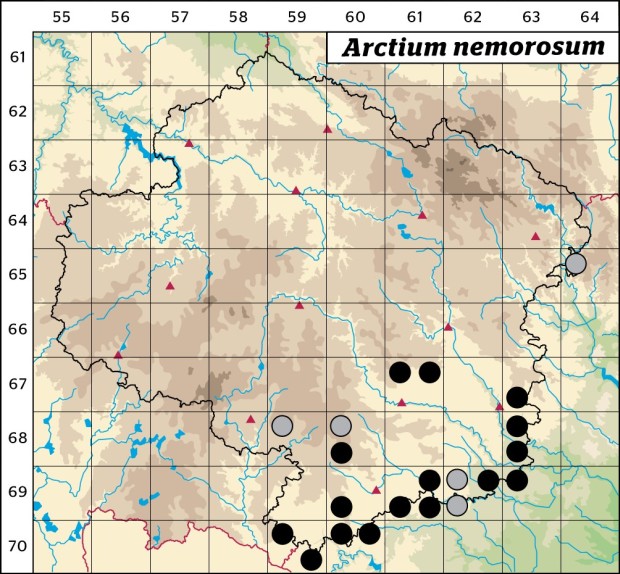 Mapa výskytu - lopuch hajní - Arctium nemorosum