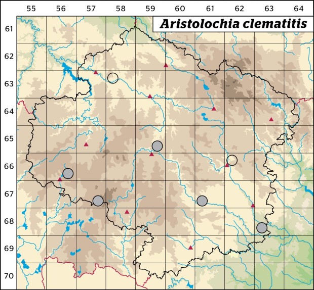 Mapa výskytu - podražec křovištní - Aristolochia clematitis