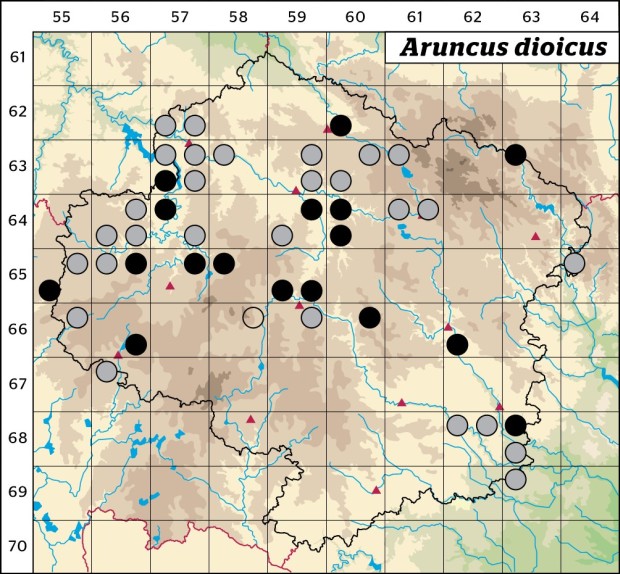 Mapa výskytu - udatna lesní - Aruncus dioicus