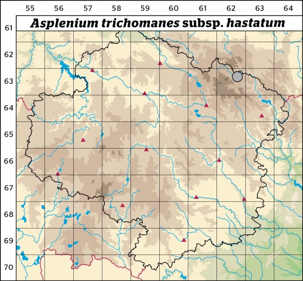 Mapa výskytu - sleziník červený hrálovitý - Asplenium trichomanes subsp. hastatum