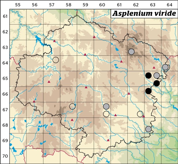 Mapa výskytu - sleziník zelený - Asplenium viride